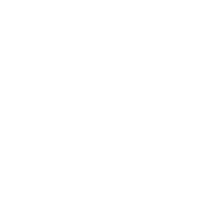 Load capacity 250 kg icon