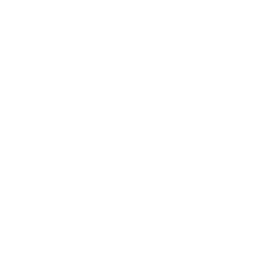 Lightweight icon