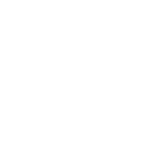 Fino a 300 kg Load capacity icon