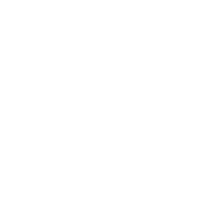 150 kg Load capacity icon