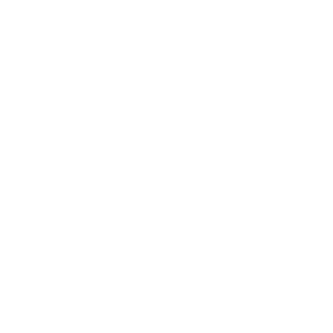 250 kg Load capacity icon