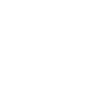 Flexible icon
