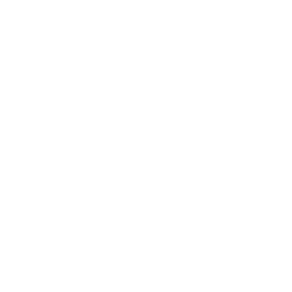220 kg Load capacity icon