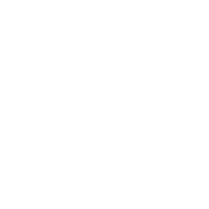 Up to 250 kg Load capacity icon