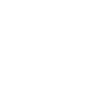 Up to 250 kg Load capacity icon