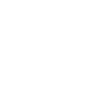 Up to 300 kg Load capacity icon