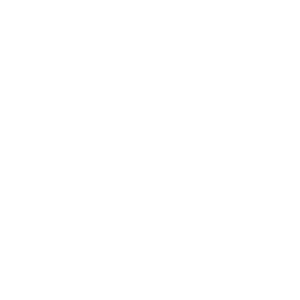 30 KG Weight device icon