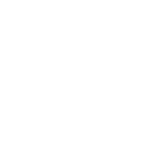 19 kg Weight device