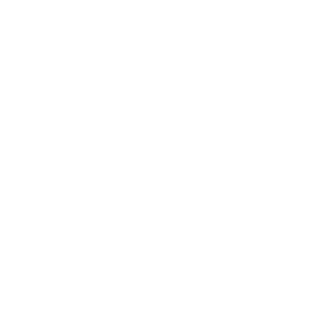 Twist system icon