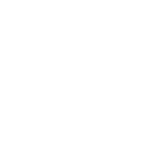 4 L Capacity