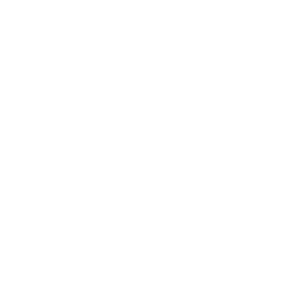0,3 Kg Lightweight icon