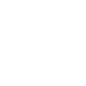 26 L Capacity icon