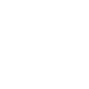 0,44 kg Lightweight icon