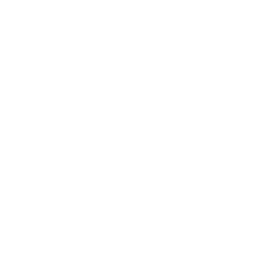 120 kg Load capacity icon