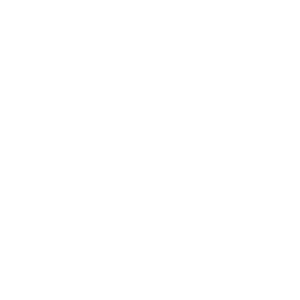 Boston no impact icon