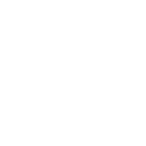 51 L Capacity icon