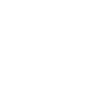 Lightweight icon