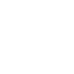 PAX SIZE 42 x 60 x 36 cm