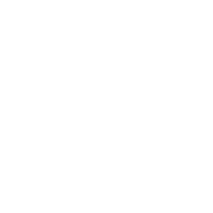 PAX WEIGHT 2,87 KG