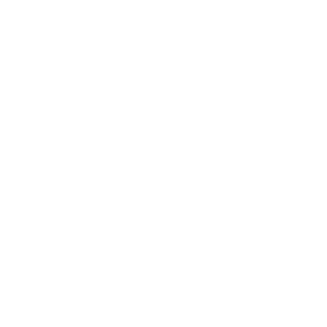 PAX WEIGHT 3,10 KG