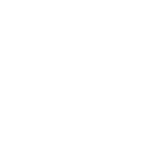 PAX SIZE 25 x 11 x 10 cm