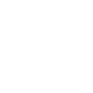 PAX WEIGHT 0,80 KG