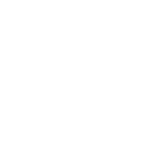 PAX SIZE 29 x 22 x 7,5 cm