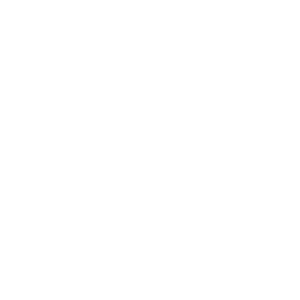 PAX WEIGHT 0,70 KG
