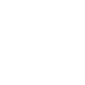 PAX SIZE 15 x 8 x 8 cm