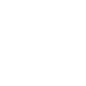 PAX WEIGHT 0,08 KG