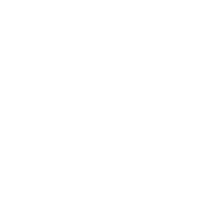 PAX SIZE 30 x 15 x 8 cm