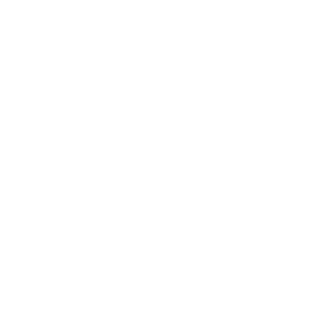 300 kg Load capacity icon