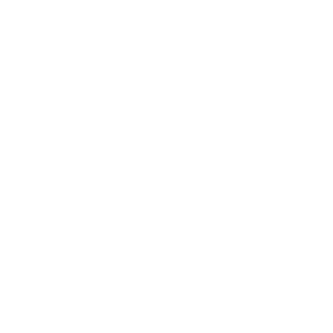150 kg Load capacity icon