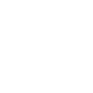 30 kg Load capacity icon