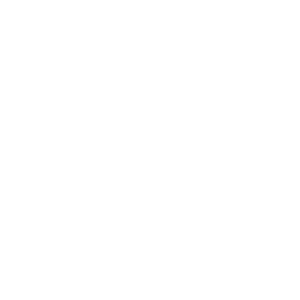 350 kg Load capacity icon