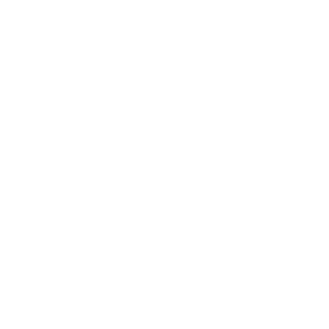 454 kg Load capacity icon