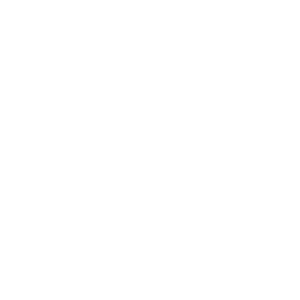 100 kg Load capacity icon