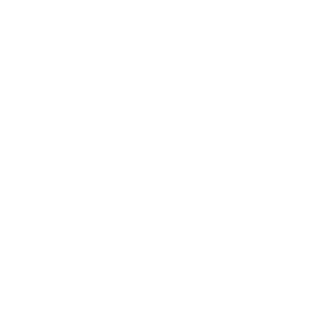38 L Capacity icon
